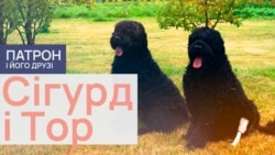 Сiгурд i Тор 