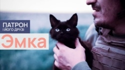 Кошка Эмка
